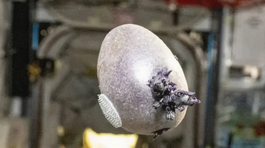 “Space Station’s Tentacled Object Ignites Intense Alien Speculation”