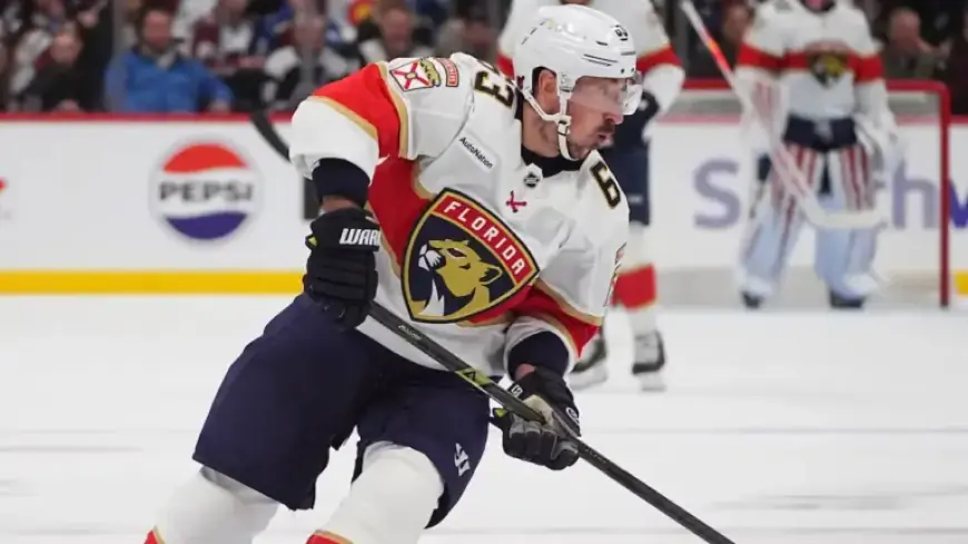 Watch Panthers vs. Wild NHL Game Live for Free Tonight