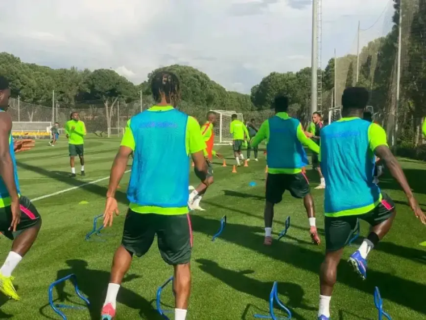 Ndidi Joins Eagles’ Turkey Camp; Bassey Excluded from Friendlies