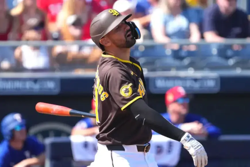 Padres’ Potential Hinges on Controversial Outfielder’s Conduct