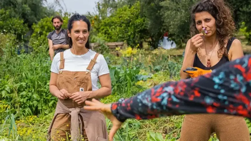 How European Farmers Overcome the Fertilizer Crisis