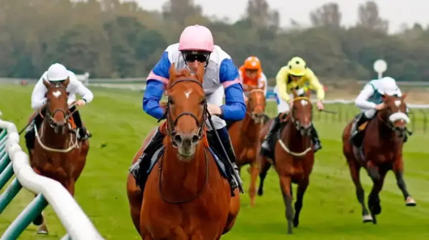 Jason Heavey’s Saturday Tips: 11-1 Odds Likely to Tighten