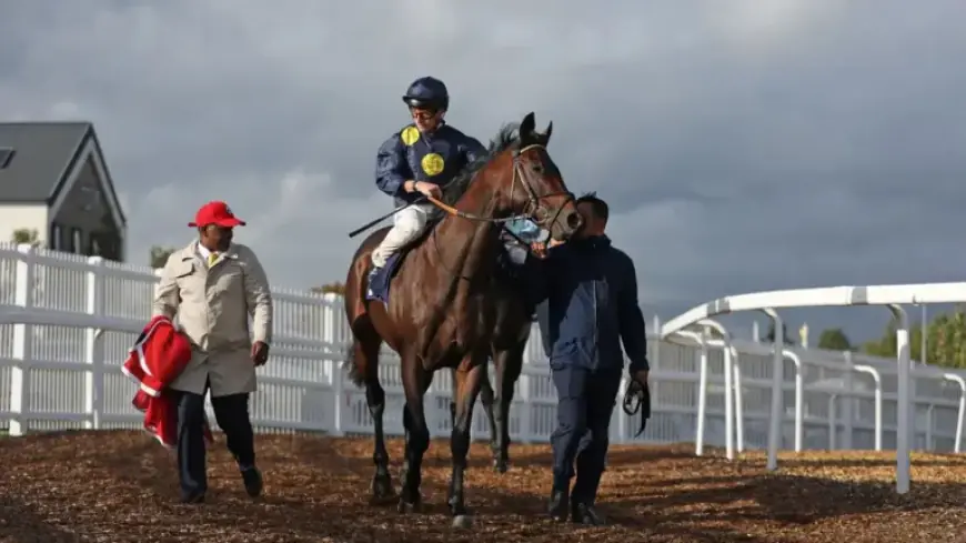 Lincoln and Dubai World Cup Lead Sky Sports Racing’s Stellar Saturday