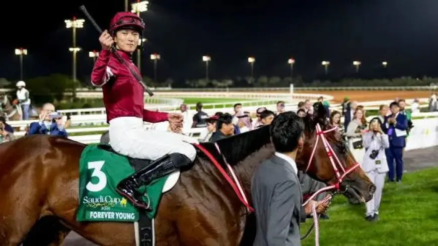 Key Contenders to Watch: Forever Young and Calandagan Lead 2026 Dubai World Cup