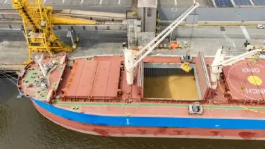 Sonny Gray Debuts for Red Sox in Cincinnati Matchup Preview