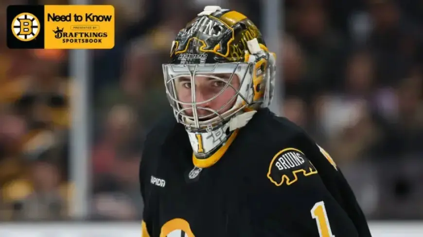 Bruins Face Off Against Wild: Key Game Insights