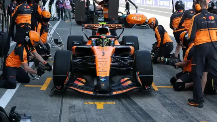 Strategic Decisions for Japanese Grand Prix Unveiled