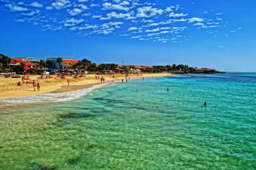 Assessing Shigella Concerns in Cape Verde: What You Need to Know