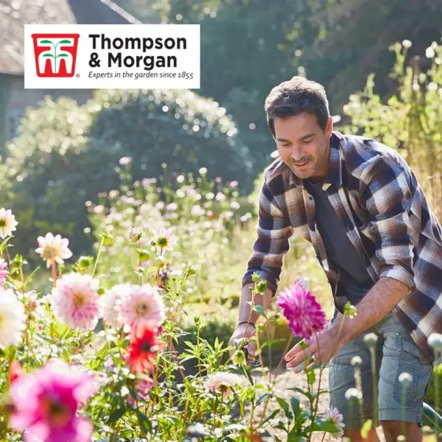 Unlock Savings: 24 Free* Perennials for Your Garden