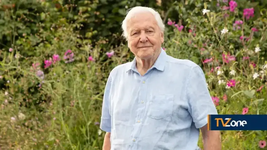 Preview: BBC One’s Secret Garden Unveiled