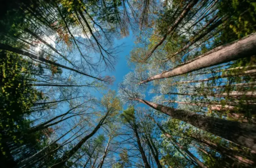 Experience Earth Week 2026 in Kawartha Lakes