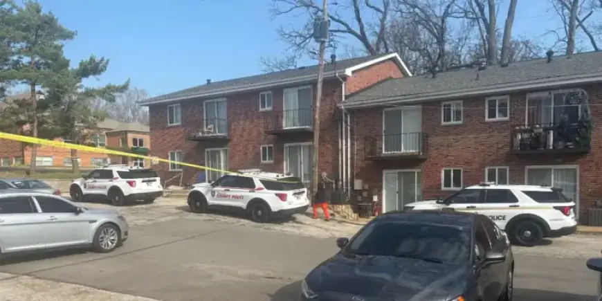 Amber Alert: 5-Year-Old Girl Missing After Stolen Vehicle Recovered in St. Louis County