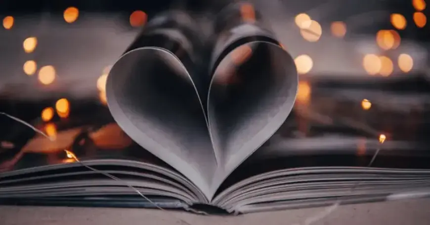 ‘The Housemaid’: Comparing the Book and Movie Adaptation