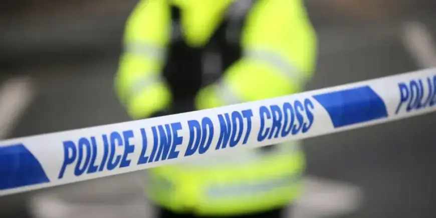 Tracking the Silver Killer: Where Is the Infamous Fugitive Now?