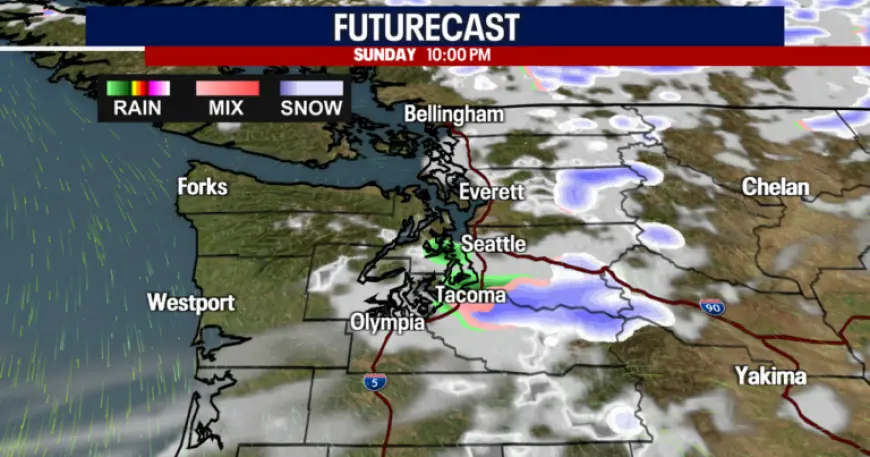 Seattle Faces Freezing Temperatures Monday Morning