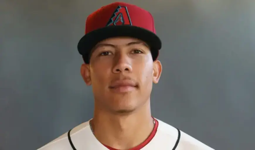 Diamondbacks Promote Jose Fernandez for MLB Debut