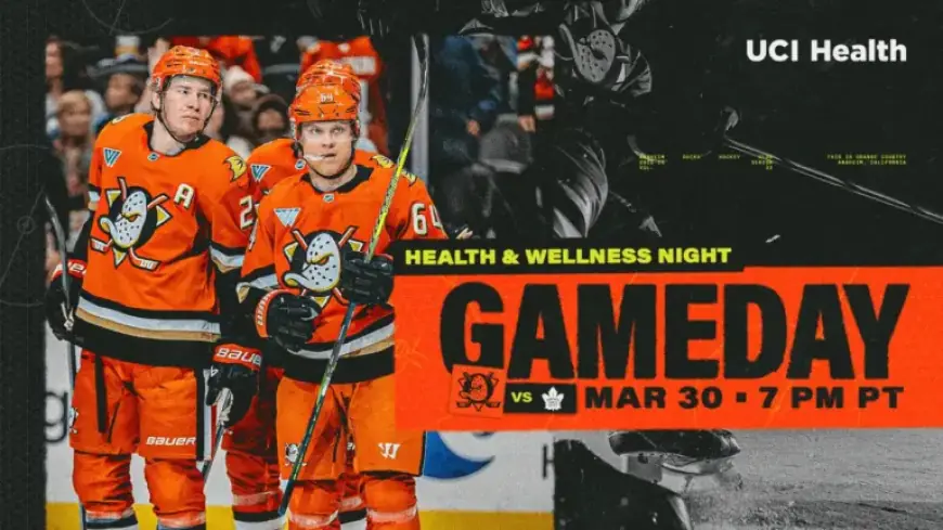 Ducks Host Maple Leafs at Honda Center: Game Preview