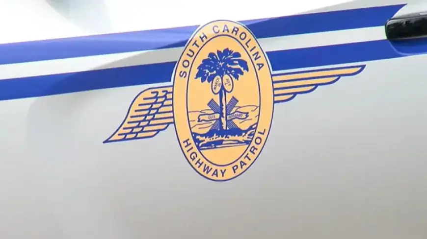 Pedestrian Killed in SC 707 Crash