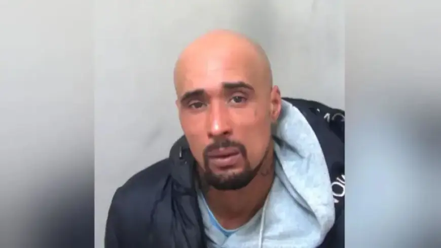 Rapper Sentenced to 10 Years After XL Bully Kills Grandmother