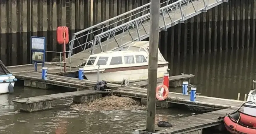 Volunteers Needed to Clear Debris at Harbor in Search for Missing Teen