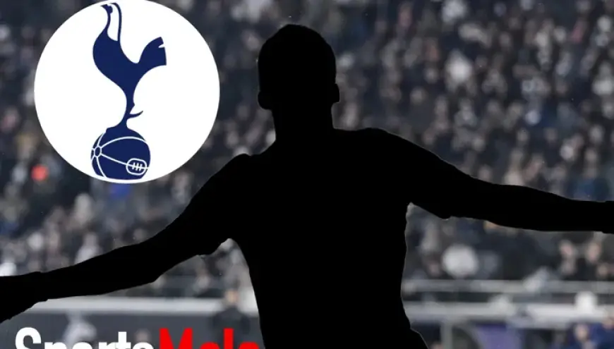Tottenham May Reluctantly Sell Star Player Amid Newcastle Interest