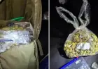 Police Arrest Two Men, Seize Cannabis in Major Drug Raid