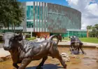 Bomb Threat Disrupts University of South Florida’s Tampa Campus