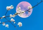 April’s Full Moon in Libra Brings Good Fortune to These 4 Zodiac Signs