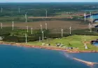 P.E.I.’s Oldest Wind Farm Undergoes Major Turbine Overhaul