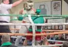 Conor McGregor Earns Dual Standing 8 Counts in Surprise Boxing Exhibition Video