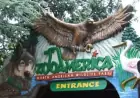 Hershey Police Charge Parents After Wolf Injures Child at ZooAmerica