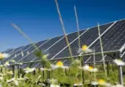 UK Approves Largest Solar Farm, Boosting Renewable Energy Initiative