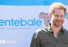 Charity Sentebale Sues Prince Harry for Defamation