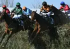 Expert Grand National Tips: Top Mare and 50/1 Longshot Highlighted