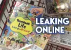 Leaked Tomodachi Life Copies Circulate Ahead of Release
