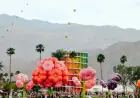 Coachella Demand Drives Price Surge and Rental Concerns