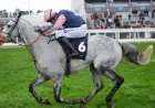 2026 Aintree Grand National: Meet the Sole Grey Horse and Its Odds