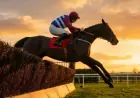 50/1 Grand National Underdog Three Card Brag Poised to Defy Odds