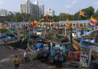 Mumbai’s Historic Dock Falls Silent Amid Fuel Crisis Impacting Fishing Trade