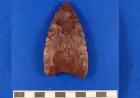 Ancient Stone Tools Could Redefine Island History by Millennia