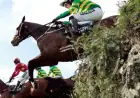 I Am Maximus’ Grand National Win Hits British Bookmakers Hard