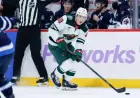 Wild Recall Ben Jones and Nicolas Aube-Kubel