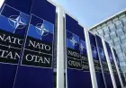 Czech Republic Faces Representation Crisis Ahead of Ankara NATO Summit