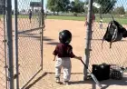 3-Year-Old Shines with Unmissable Baseball Walk-Up Performance