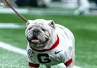 Surprise Recruits Confirm Attendance for Georgia Football’s G-Day Event