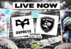 Ospreys vs. Sharks: Live URC Showdown