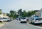 Suspect Surrenders After Barricading in Violent Domestic Disturbance: DCSO