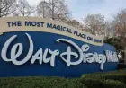 Disney Park Guests Enjoy Rare Price Drop on Key Attraction