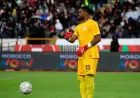 African Giants Target Super Eagles Goalkeeper Stanley Nwabali