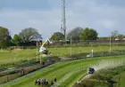 Racecourse Season Postponed Again Due to Larvae-Damaged Track